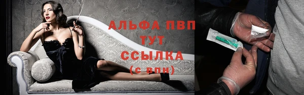молекула духа Дмитриев