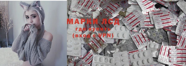 ГАЛЛЮЦИНОГЕННЫЕ ГРИБЫ Гусиноозёрск