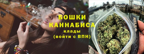 молекула духа Дмитриев