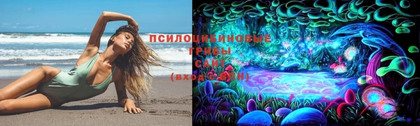 ПСИЛОЦИБИНОВЫЕ ГРИБЫ Дмитров
