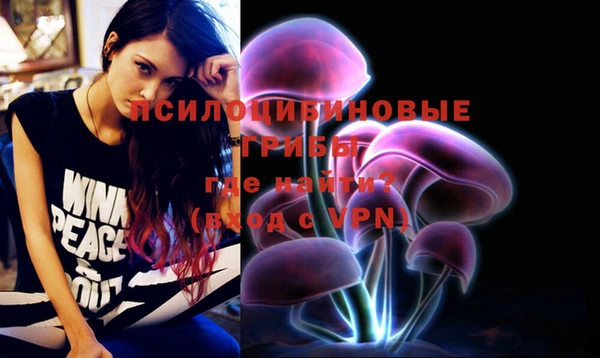 MDMA Premium VHQ Ельня