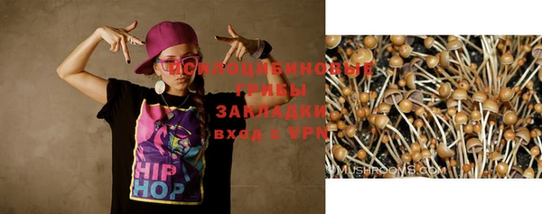 spice Горно-Алтайск