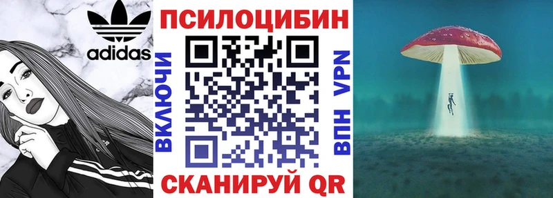 где можно купить   Дальнереченск  Галлюциногенные грибы мухоморы 