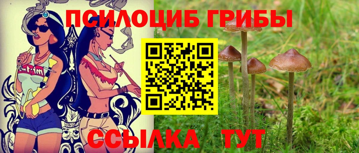 Дальнереченск  Псилоцибиновые грибы MAGIC MUSHROOMS  Псилоцибиновые грибы мухоморы  Вход с VPN 